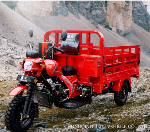 DY-200ZH-6 Motocicleta de tres rodes
