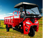 Trobeu productes de motor Dayang 300cc avançats i d'alta qualitat